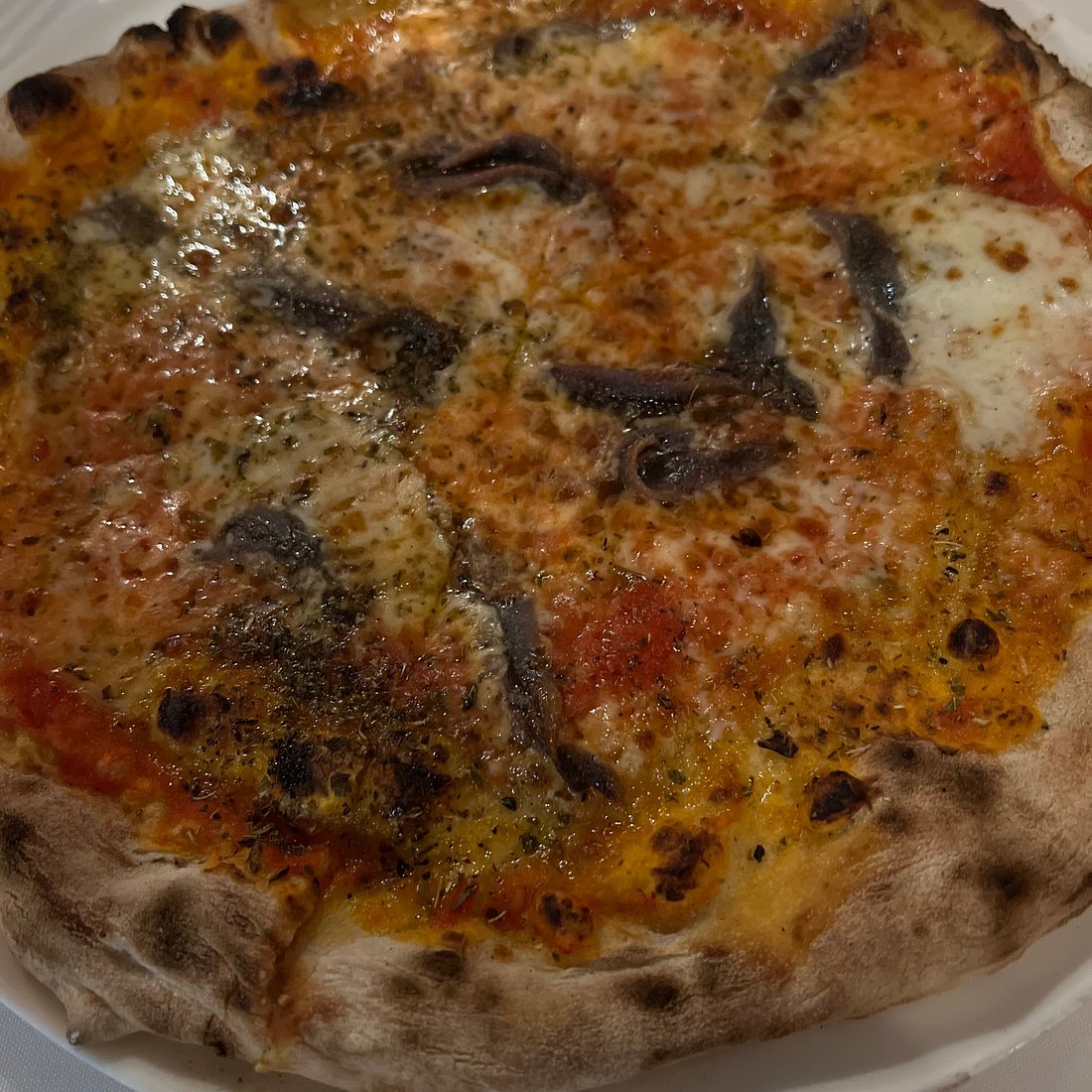 Mediterraneo Ristorante Italiano signature dishes Veal ChopBranzinoMargherita Pizza